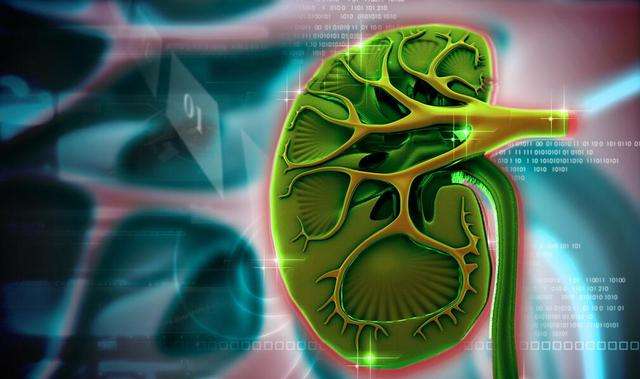 肾脏就不能喝水吗？狐大医 | 得了慢性肾病