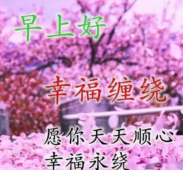 d443cebf4e744e4e92e6052d60e2706c.jpeg