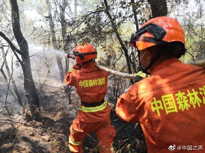 云南楚雄市禄丰县人口多少_云南禄丰县恐龙(3)