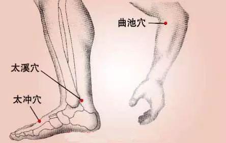 健康养生知识大全穴位 d88f5f39a11c4bdca2d94359fe59ef82.jpeg