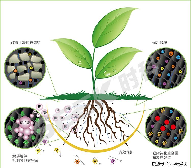 生物炭—拯救耕地土壤质量的一剂良药