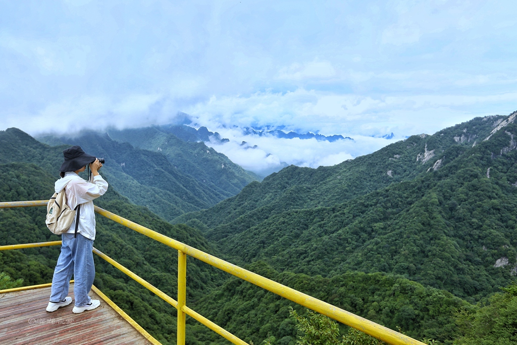 2020年柞水县终南山秦楚古道景区杜鹃花节盛大启幕