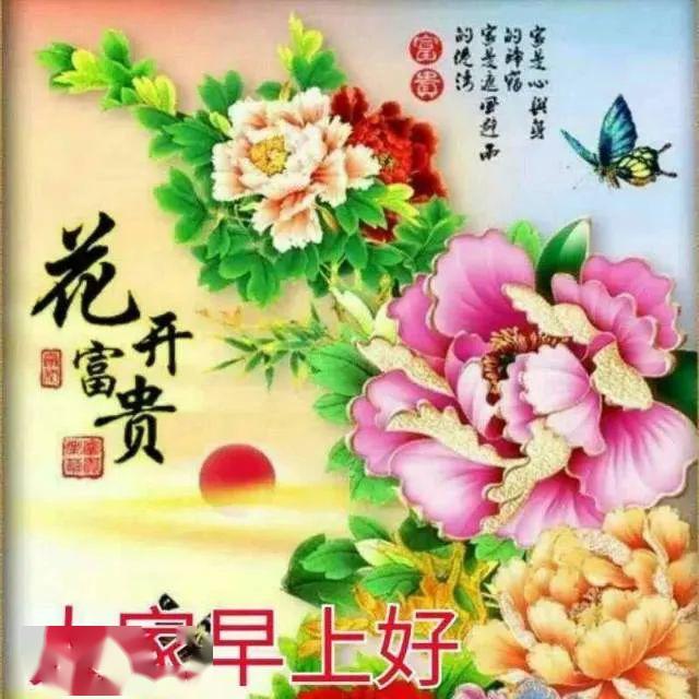 4张非常精美的鲜花早安动态图片带字带祝福语 温馨