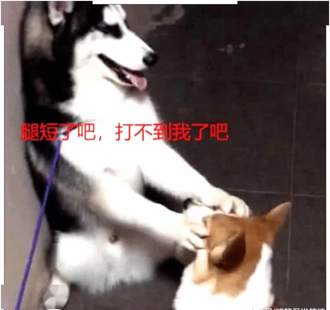 fc8169799d004a18b50d30a381ea93fc.jpeg