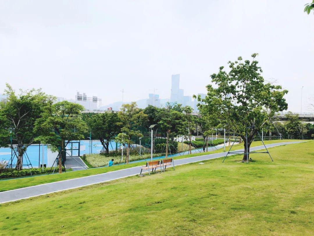 花花草草长势良好,前海运动公园这篇空地,竟然被整的像模像样.