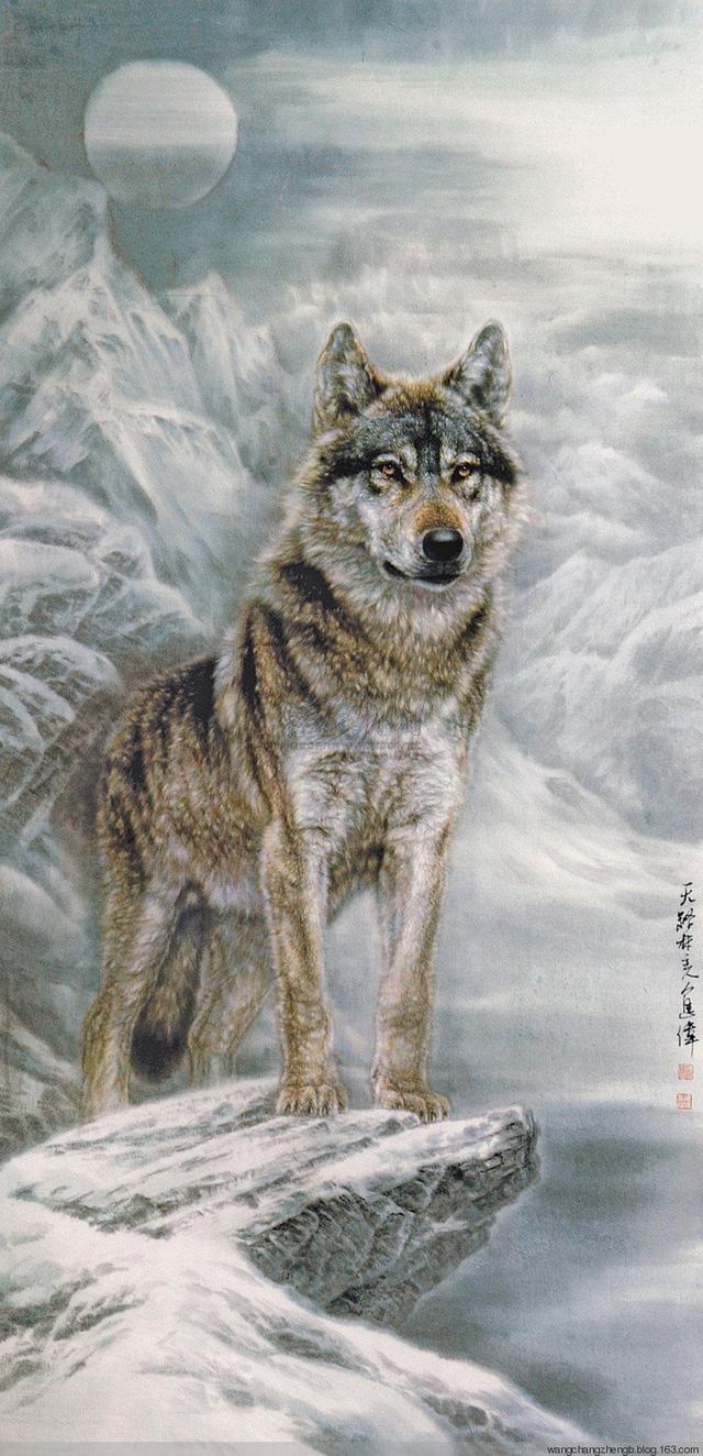「中国左家狼」左进伟的工笔狼画欣赏