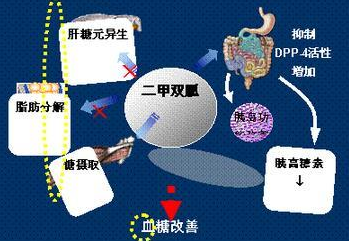 0b9b760ef12a42e48add52b0479a724d.png