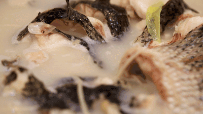 霸王餐福利 | 自带蒸汽特效的草帽鱼!比神仙水还要神仙!