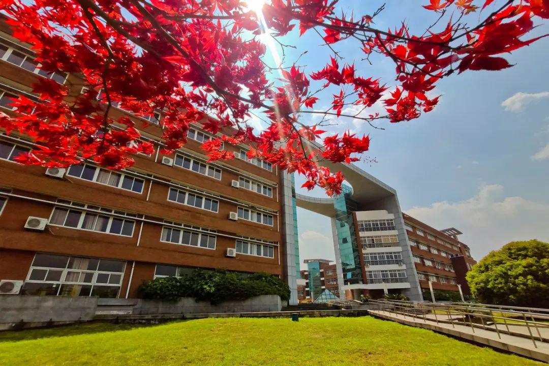 宁波大学