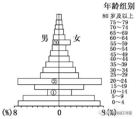 人口金字塔图的判读_人口金字塔