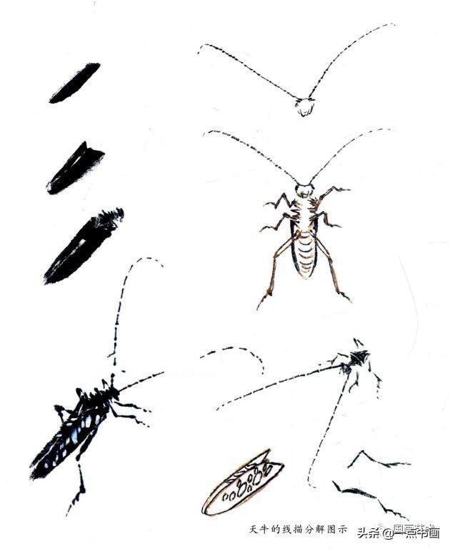 写意草虫画法教程——天牛的画法步骤