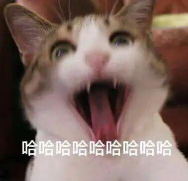 2e9a24f70ddd4478a0c36e0dd3dc239d.jpeg