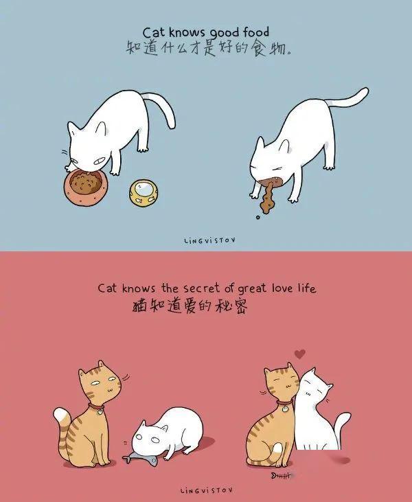 优点是什么意思啊 30bcc07f9dc44ab9af96326e2591e836.jpeg