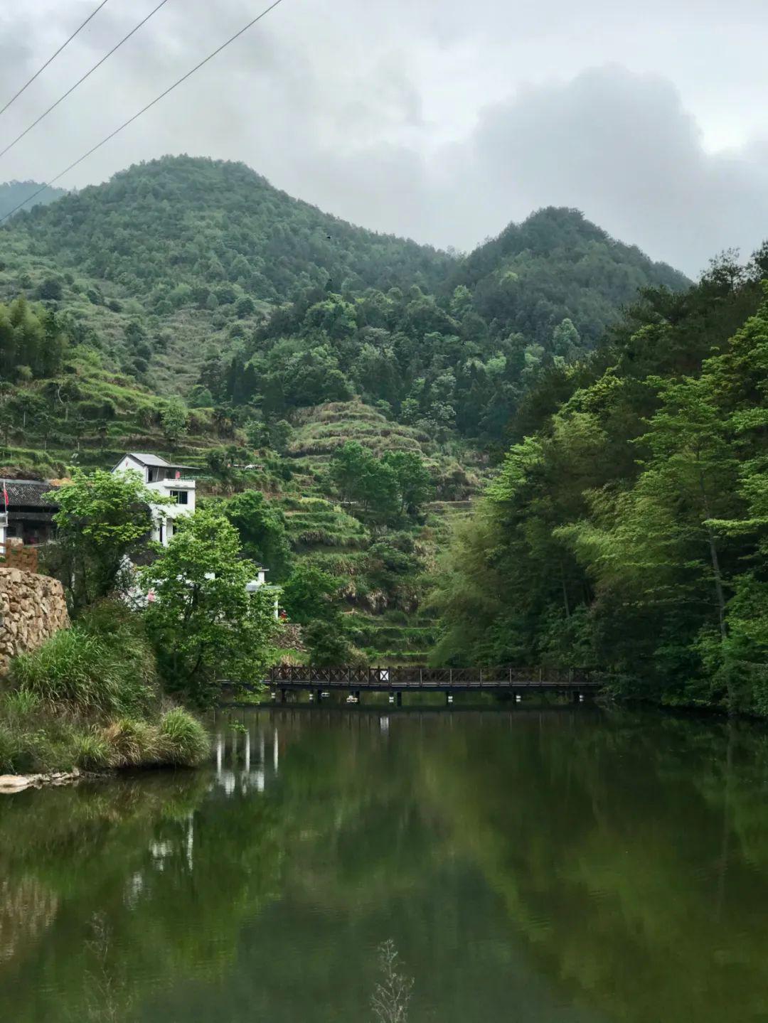 青田孙阔村丨深藏于高山走到手机无信号也想要去的美丽乡村