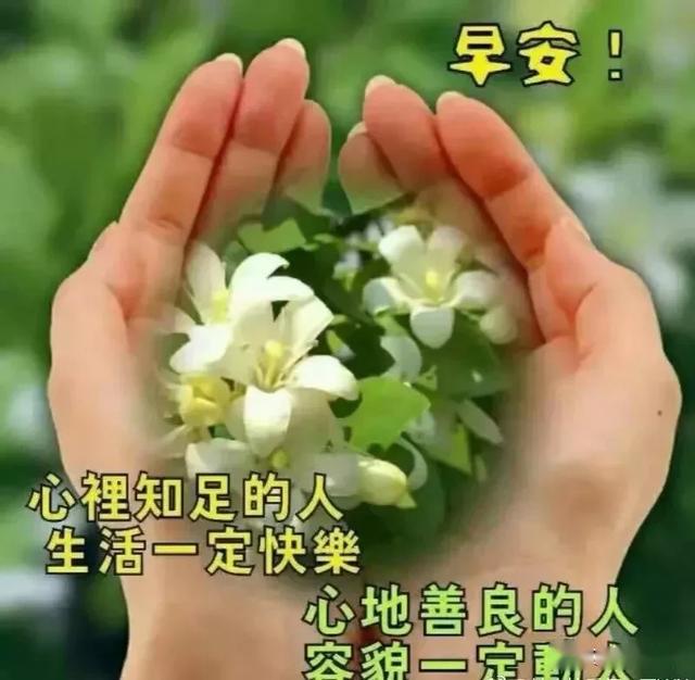 人生不能靠心情活着,而要靠心态去生活,早安