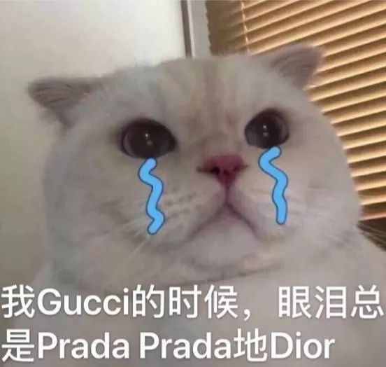 42f955bc6dd2470786ac059f112945a3.jpeg