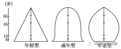 【考向预测】人口年龄结构金字塔图的判读