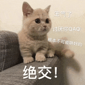 300_300gif 动态图 动图