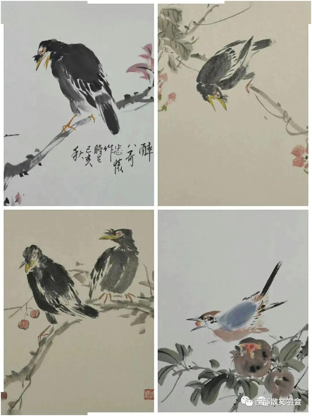 自由飞翔的鸟儿怎么画 55556a81c88b40a697ebc23d3b4d851b.jpeg