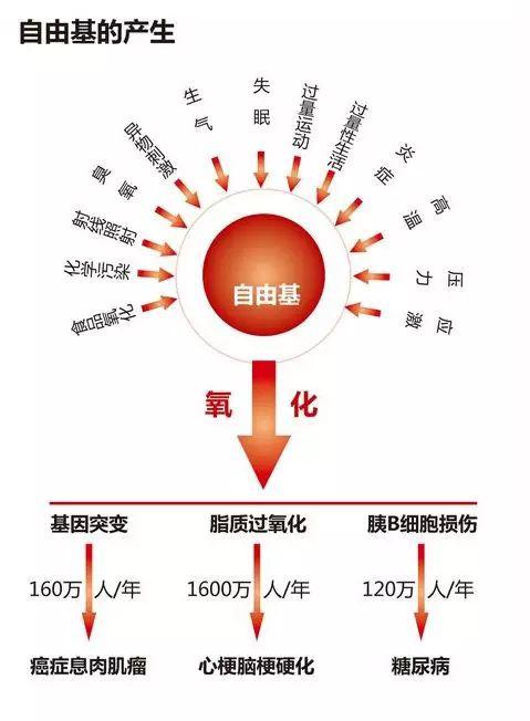 你知道吗?因为自由基衰老正在加速!_花青素