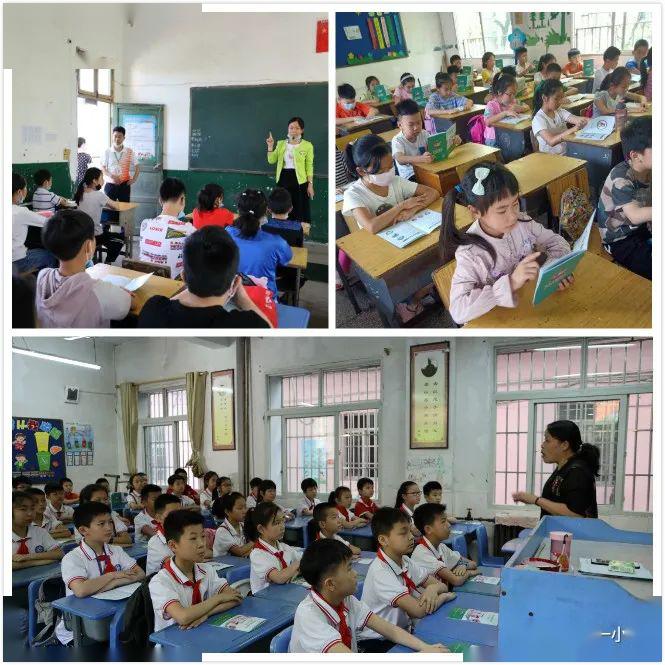 绿树荫浓时,少年归来日——新钢一小复学第一天记