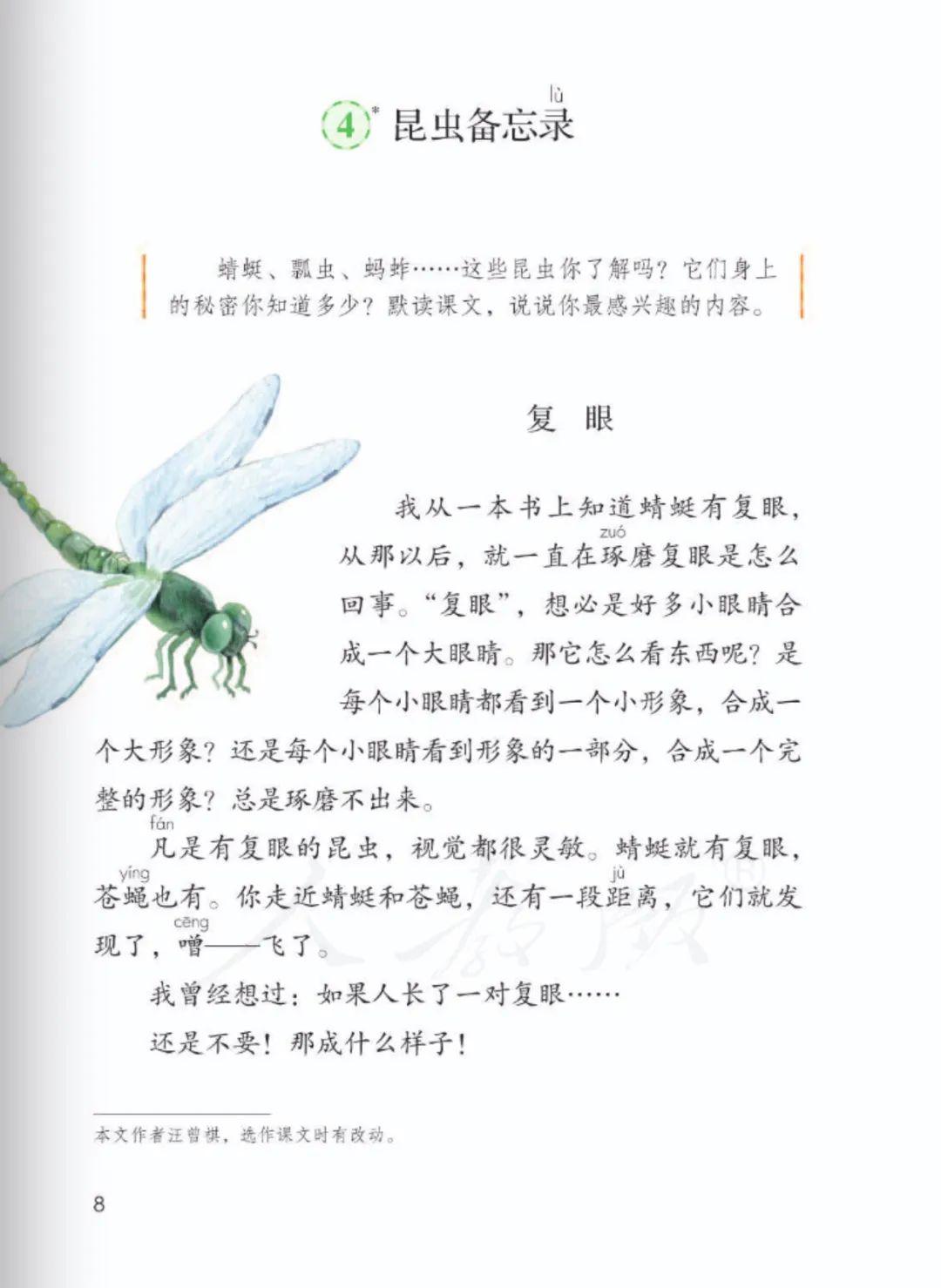 ʯʶġ汸¼|Сѧ