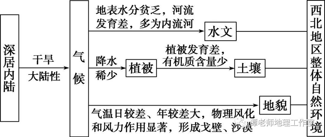 例如,我国西北地区,气候,水文,土壤等自然地理要素共同构成了西北独特