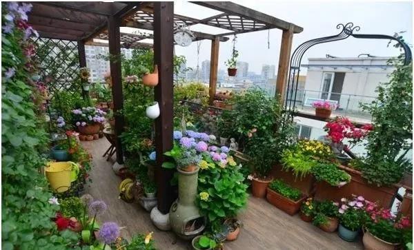 什么是立体绿化 6355a58a500e45e78592a4f19cf42a97.jpeg