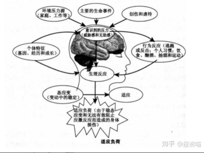 69f1c1f1198e4f15824732d7cf2c403f.png