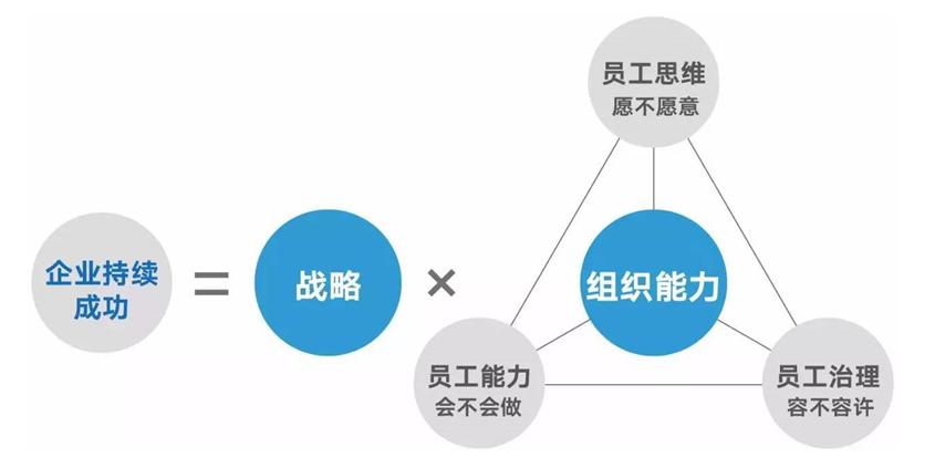 (图示:组织能力"杨三角"模型)