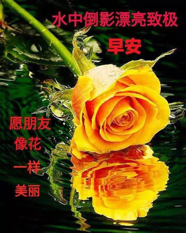 71b108ec70e54affadd2ae32fd8804de.jpeg