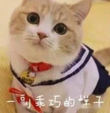 73a093758ef34de8883f2edbab50d199.jpeg