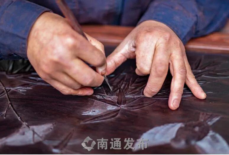 什么叫毛鳞片视频 7664a0326bba4d11aa83ce1dcad5a0c9.jpeg
