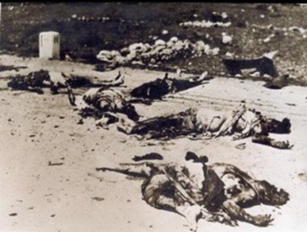 143名还是1200名华人被杀?1969年5月13日马来西亚爆发五一三事件