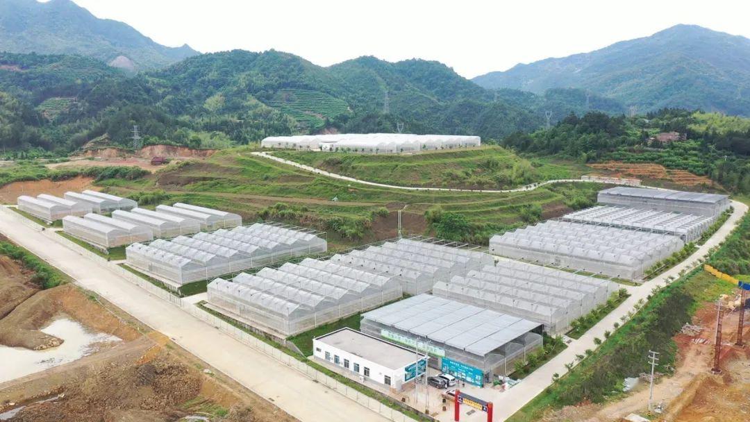 2020年新罗区gdp_龙岩新罗区(2)