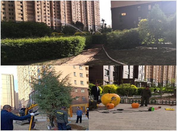 小返小区是什小区