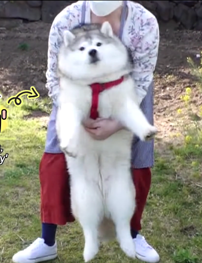 894c3283ce6d454ba68866cbf15bea79.png