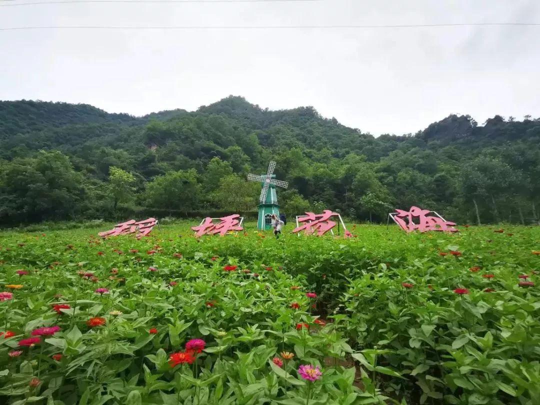 徽县稻坪古村生态旅游景区