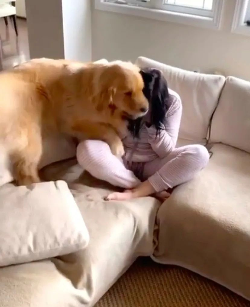 网友假哭测试狗狗，没想到狗狗的举动让她真的哭了