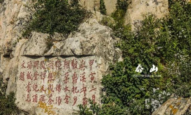 泰山石刻现存1800余处,其中碑碣800余块,摩崖石刻1000余处,大体分布为
