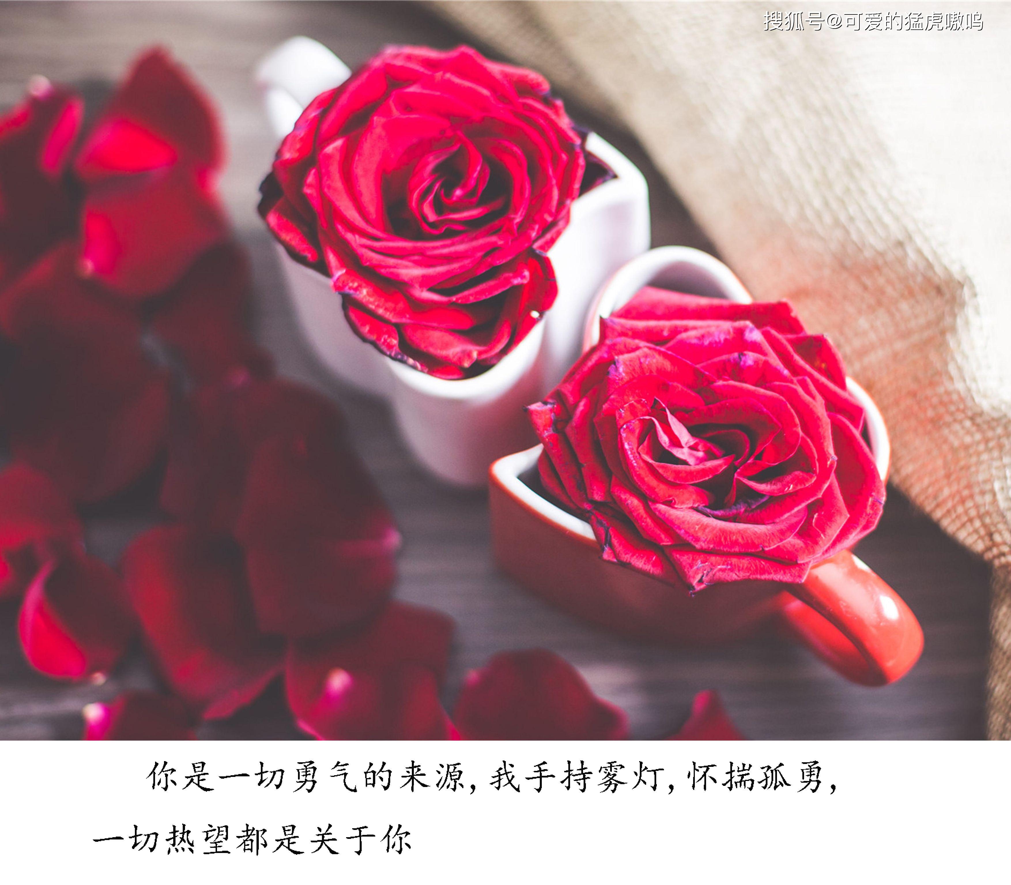 9549b0d3c1284181beb91efbf6c544e9.jpeg