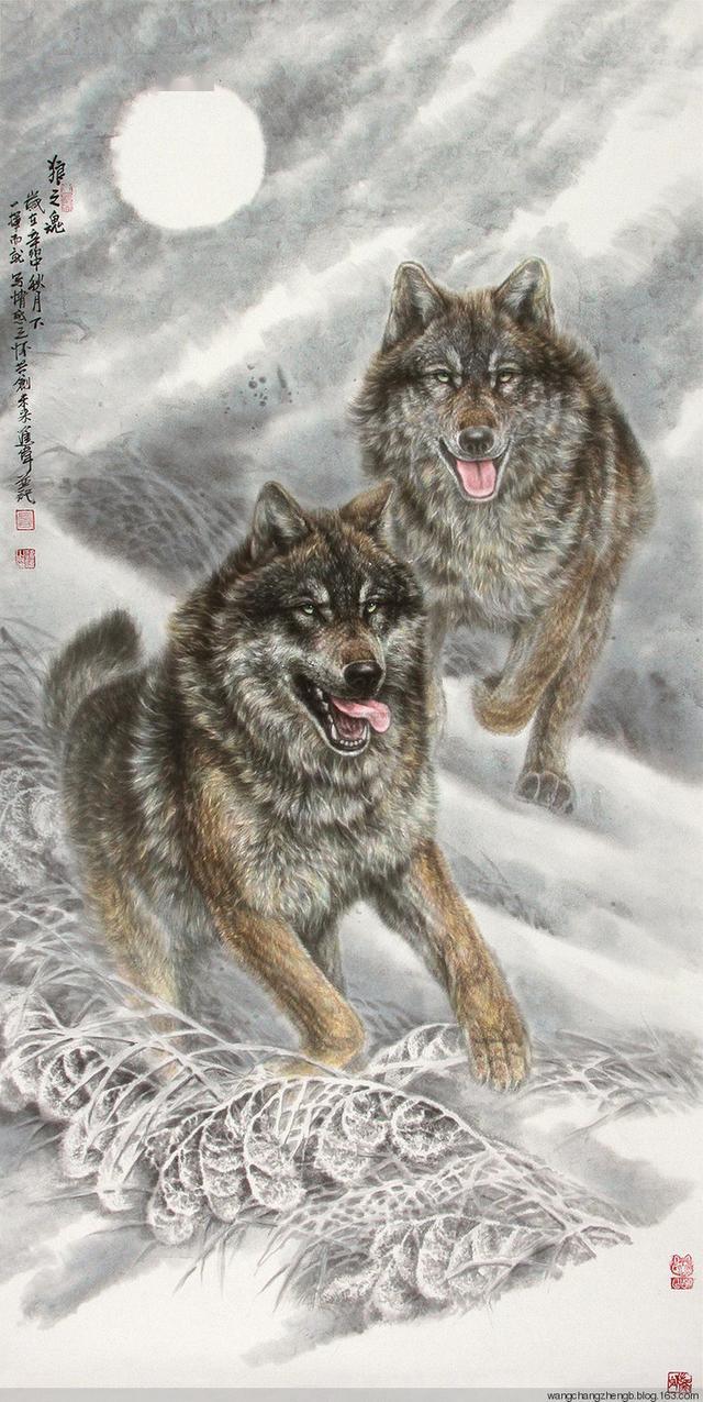 中国左家狼左进伟的工笔狼画欣赏