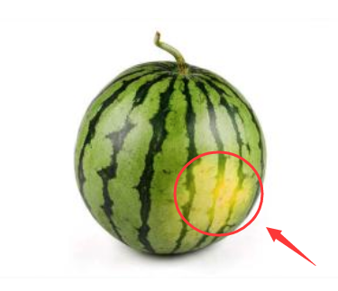 怎样选好西瓜 c0554f55166448c1b2afa54c562a1c64.png