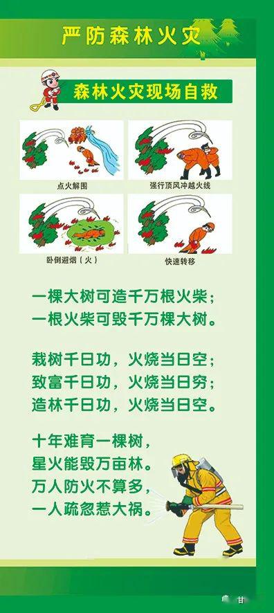 注意森林防火,确保森林资源安全 图解森林防火小知识 来源:甘州应急