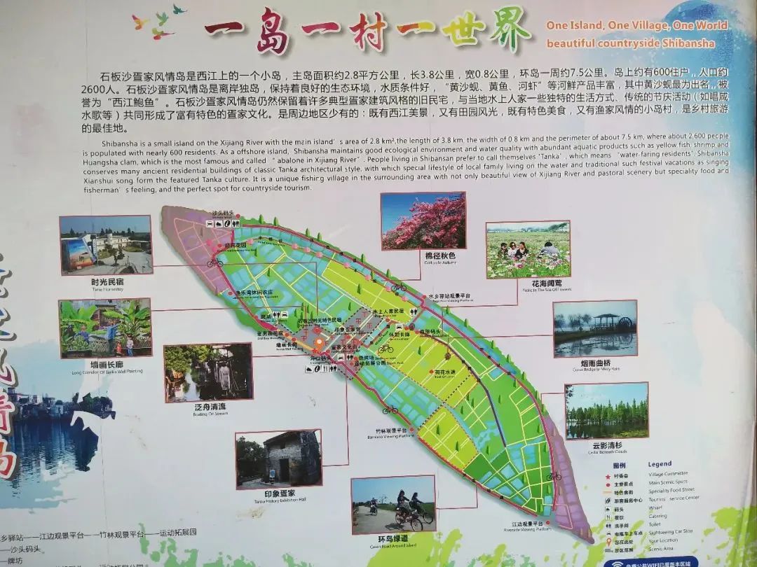 江门石板沙周六日出发石板沙岛赏花海打卡网红彩虹村