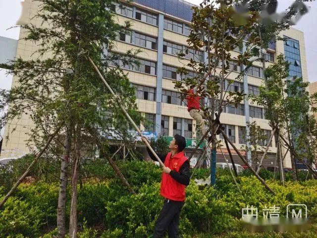 陆良人口有多少人口_陆良哪个宾馆有美女