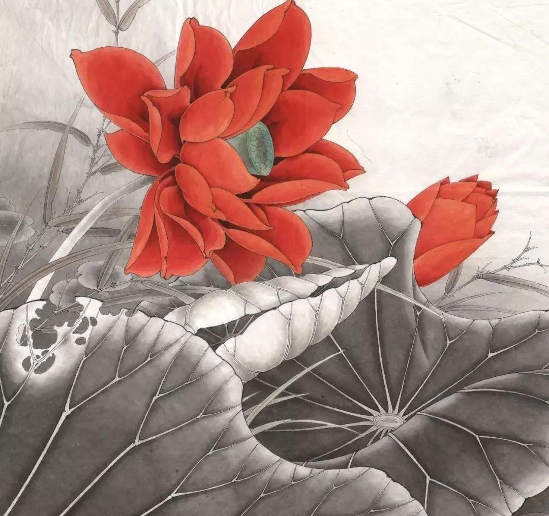 李晓明五种工笔莲花的绘画着色步骤详解!