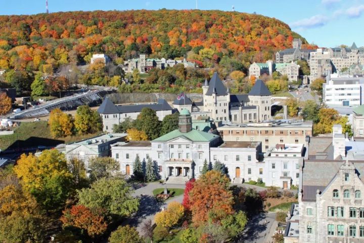 麦吉尔大学加拿大著名医博类高校,位于魁北克省的麦吉尔大学,通过学校