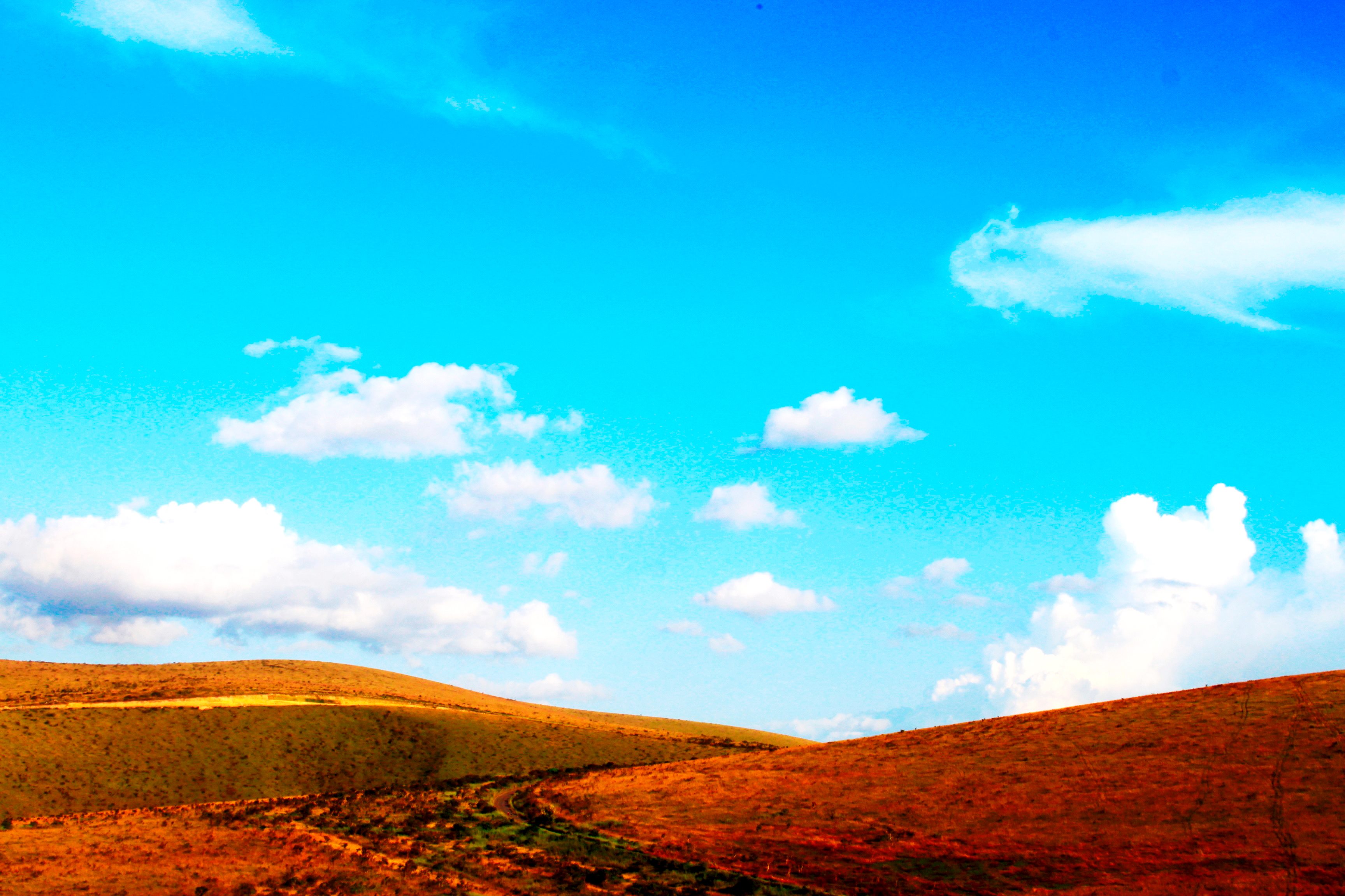 d64470629fff4e19a355240666f31759.jpeg