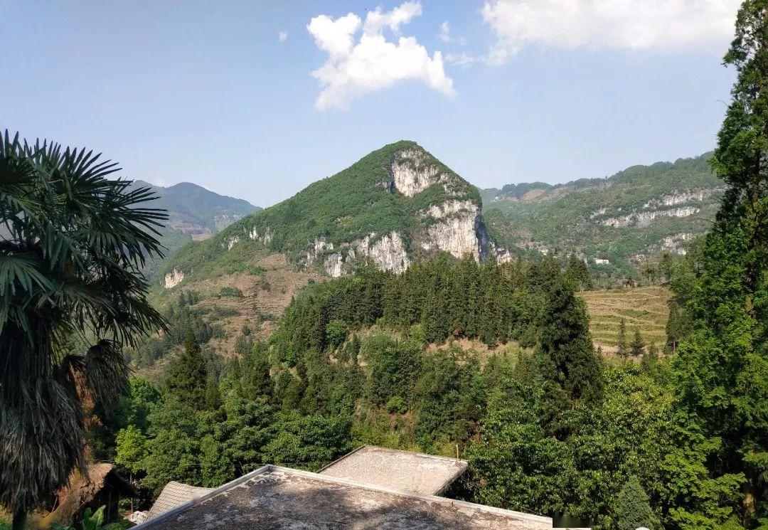 志气长存老更刚——纳雍县百兴镇八十老翁杨文光拒领农村低保金的前